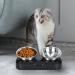Jemirry Elevated Cat Bowl - Anti-Vomiting 15 Tilted Raised Stainless Steel Pet Bowls with Non-Slip Stand - Prevents Cat and Dog Vomiting, Protects Spine - Dishwasher Safe - Set of 2 Bowls - Buy Online on GoSupps.com