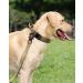 Joytale Tactical Dog Collar for Large Dogs | Durable Khaki Collar with Handle & QR Code Dog Tag | Perfect for International Shipping - Buy Online on GoSupps.com