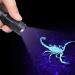Zerodis Purple Flashlight - 395/365 Nm Black Light for Pets & Invisible Ink Detection | Portable UV Light for Urine Stains & Mini-Tubes - Buy Online on GoSupps.com