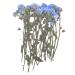 YouthBro 50PCS Blue Forget Me Not Flowers with Stem  Don't Forget Me Real Dried Pressed Nature Flowers for Resin DIY Art Craft Stem Blue 50