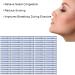 Disposable Nasal Strips for Congestion Relief and Snoring Reduction - Pack of 2 - Buy Online on GoSupps.com