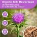 iMATCHME Milk Thistle Gummies - Liver Cleanse & Detox, 1500mg Extract, 60 Vegan Count - Buy Online on GoSupps.com