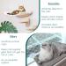 Cat Wall Hammock Shelf | Kitty Lotus Bed | Wall-Mounted Climber Stair | Houseables - Buy Online on GoSupps.com