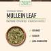 Organic Mullein Leaf - 1 lb. Bulk Bag | Frontier Co-op Cut & Sifted Verbascum thapsus L - Buy Online on GoSupps.com
