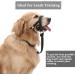 Durable Dog Head Necklace for Labradors | No Pulling Soft Upholstery & Training Instructions - Blue/Black - Buy Online on GoSupps.com