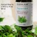 Majestic Pure Peppermint Essential Oil - 4 fl oz | Therapeutic Grade, Pure & Natural Premium Quality - Buy Online on GoSupps.com
