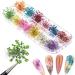 Kingmas 12 Colors Dried Flowers Nail Art Supplies - Mini Real Natural 3D Applique Decoration Sticker - Buy Online on GoSupps.com