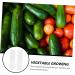 SEWOART 2pcs Melon and Fruit Shaping Mold Vegetables Melon Shaping Tools Star Shaped Cucumber Molds Melons - Buy Online on GoSupps.com