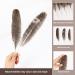 Outuxed 15pcs Natural Turkey Feathers for Crafts - 10-12 Inches - DIY Home Wedding Party Decoration - Buy Online on GoSupps.com