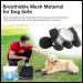 Dog Boots Paw Protectors - Large Dog Shoes for Winter Snow - Extra Large Booties for Outdoor/Running/Hiking - Non-Slip Straps - 4Pcs (Black, Size 6) - Buy Online on GoSupps.com