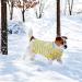 Warm XL Yellow Dog Sweater for Small Dogs & Puppies | Fleece Plush Winter Coat for Cats & Dogs - Buy Online on GoSupps.com