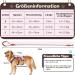 Multi-Purpose Dog Harness & Leash Set - Outbreak-Proof Anti-Train Safety Harness for Small & Medium Dogs (Pink M) - Buy Online on GoSupps.com