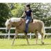 Buy USG 15200002 Adjustable Neck Ring - Round Black/Green for All Your Equestrian Needs | International Shipping Available - Buy Online on GoSupps.com