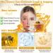 Daasry Dermal Gold Bee Venom Skin Restoration Cream Advanced Bee Venom Skin Treatment Cream bee venom All-in-One Cream-50g Anti-Aging Hydrating Natural Ingredients for All skin Types (2PC) - Buy Online on GoSupps.com