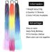 24" Colored Braids Ponytail Extensions with Elastic Hair Tie 12 Strands Rainbow Braided Synthetic Ponytail Hairpieces for Women Girls (Color : C25 Size : 24inches) 24inches C25 - Buy Online on GoSupps.com