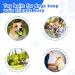 Yiateoit 2.75 Inch Green Toy Ball for Dogs - Interactive & Indestructible Dog Toy for Anxiety Relief and Boredom - Buy Online on GoSupps.com