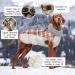 Kuoser Warm Dog Jacket - Reflective Windproof Winter Coat for Small & Large Dogs - Fashionable Red Coat with Dishes - Buy Online on GoSupps.com