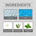 Aloe Vera Mens Face Wash Natural Face Wash with Aloe & Mint Aloe Vera Acne Face Wash Face Wash For Men Exfoliating Face Wash Cream Cleanser For Acne Prone & Oily Skin Face Wash 100g - Buy Online on GoSupps.com