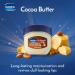 Vaseline Lip Therapy | Moisturizing Lip Balm | Set of 4 Rosy Cr me Br l e Original Cocoa Butter (Set of 4 Lip Balms) - Buy Online on GoSupps.com