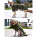 Waterproof Dog Winter Jacket with Velvet Inner - 2XL Green Reflective Dog Raincoat - Buy Online on GoSupps.com