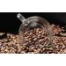 Chicco di Caff Duo | 2kg Organic Espresso Sample Pack - Urubamba & Sumatera Whole Beans - Buy Online on GoSupps.com