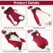 Cobee Professional Recovery Suit for Cats & Dogs | Post-Surgery E-Collar Alternative | Size L | Red | Ideal for Wounds & Skin Diseases - Buy Online on GoSupps.com