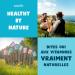Vitamine B12 Bio | 60 g lules (2 mois) | 100% naturelle et v g tale | Premium & Vegan | vitamin B 12 25 g (1000% des AJR) | Extraits de Shiitake et fibre d'acacia bio | B-12 pour Hommes et Femmes 60 unit (Lot de 1) 60 - Buy Online on GoSupps.com