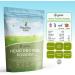 Organic Hemp Protein Powder by TheHealthyTree Company - European Harvest - Vegan, High Omega-3, Iron, Amino Acids, Magnesium - Raw Hemp Protein (600g) - Buy Online on GoSupps.com