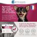 DERMOSCENT ATOP7 Spot On Dogs Cats 0-10 kg Plastic Not Applicable - Buy Online on GoSupps.com
