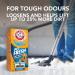 Arm & Hammer Plus OxiClean Pet Fresh Carpet and Room Odour Eliminator - Buy Online on GoSupps.com