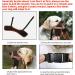 Heele Adjustable Dog Muzzle - Breathable & Safe for Small to Medium Dogs | Prevents Biting Chewing & Barking (M Brown) - Buy Online on GoSupps.com