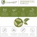 Buy F rstenmed High-Dose Nettle Capsules 900 mg - Vegan Laboratory Tested 120 Capsules with Juniper & Fennel - International Shipping Available - Buy Online on GoSupps.com