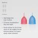 Saalt Menstrual Cup 2-Pack | High-Quality Soft & Flexible Design for Active Women | 12-Hour Portable Reusable Medical Silicone | Regular Blue & Small Pink - Buy Online on GoSupps.com