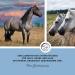 Annimally Zinc for Horses - High-Dose Zinc Pellets (2kg) with Black Cumin Zeolith Scot & Brewer's Yeast for Skin Hair & Hoof Care - International Shipping Available - Buy Online on GoSupps.com