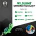 WildLight Animal Carabiner Flashlight - Mini Green Turtle Keychain Light for Kids, Nurses, Camping | Fun Wearable Accessory for Boys, Girls, Adults - Buy Online on GoSupps.com