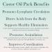Smaller Baar Disposable Castor Oil Pack - Premium International Shipping | Eco-Friendly & Convenient - Buy Online on GoSupps.com
