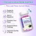 High Absorption Calcium Gummies Sugar Free Calcium Magnesium Supplement with Potassium Vitamin D3 for B0ne & Teeth Strength Muscle Function - Vegan Elderberry Flavor 60 Cts Sweet Elderberry 60 Count (Pack of 1) - Buy Online on GoSupps.com