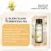 EUQEE Ylang Ylang Oil 10ml - Pure Natural Aromatherapy Essential Oil for Home Relaxation | Diffuser & Humidifier Use - 10.00 ml (Pack of 1) - Buy Online on GoSupps.com