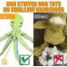 Octopus Dog Toys for Boredom Soft Dog Toys for Large Dogs Squeaky Dog Toy No Stuffed Plush Dog Toys for Small Medium Large Dogs Green Octopus - Buy Online on GoSupps.com