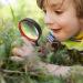 MJIYA 8X Handheld Magnifying Glass for Kids and Seniors - Non-Scratch Shatterproof Design - Quality Glass Lens - 75mm Orange - Buy Online on GoSupps.com