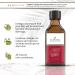 Organic Kiwi Seed Oil - 100% Pure & Cold Pressed - Skin, Hair & Lip Care - 3.4 Oz | 100 Ml - Buy Online on GoSupps.com