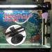 HEEPDD Aquarium Heater - 50W 100W 200W 300W 500W Stainless Steel Electrical Thermostat | Ideal for Fish Tanks - Buy Online on GoSupps.com