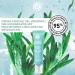 Yves Rocher HYDRA V G TAL Eye Care Gel Cream - Moisturizes Reduces Dark Circles & Puffiness | 15ml Tube - International Shipping Available - Buy Online on GoSupps.com