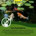 Tetra Pond AlgoFree - 3L Floating Algae Killer for Garden Ponds | Combat Green Water & Filamentous Algae - Buy Online on GoSupps.com