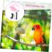 5 Sets Bird Leash Suspend Trains Bird Harness Vest Gecko Leash Parrot Flying Tool Lizard Animal 12X6X1.3CMx5pcs Pinkx5pcs - Buy Online on GoSupps.com