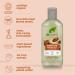 Dr Organic Moroccan Argan Oil Shampoo 265ml - Natural, Vegan, Cruelty-Free | Paraben & SLS Free, Eco-Friendly | For Women & Men - Palm Oil Free | Recyclable Packaging - Buy Online on GoSupps.com