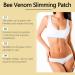 Premium Bee Venom Slimming Paving Set - 6PC International Shipping | Eech Rqw Slast Pavement & Plaster Gift - Buy Online on GoSupps.com