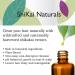 Shikai Natural Volumizing Shampoo for Fine Hair - Adds Fullness & Texture, 12 Fl Oz - Buy Online on GoSupps.com