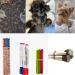 200 Mini Elastic Hair Ties for Girls - Perfect for Braids Dreadlocks & Weddings - Black Hair Accessories - Buy Online on GoSupps.com