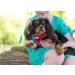 Anvol Viva Lightweight Breathable Comfort Mesh Dog Harness Red - Size Medium (44-57 cm) - Buy Online on GoSupps.com